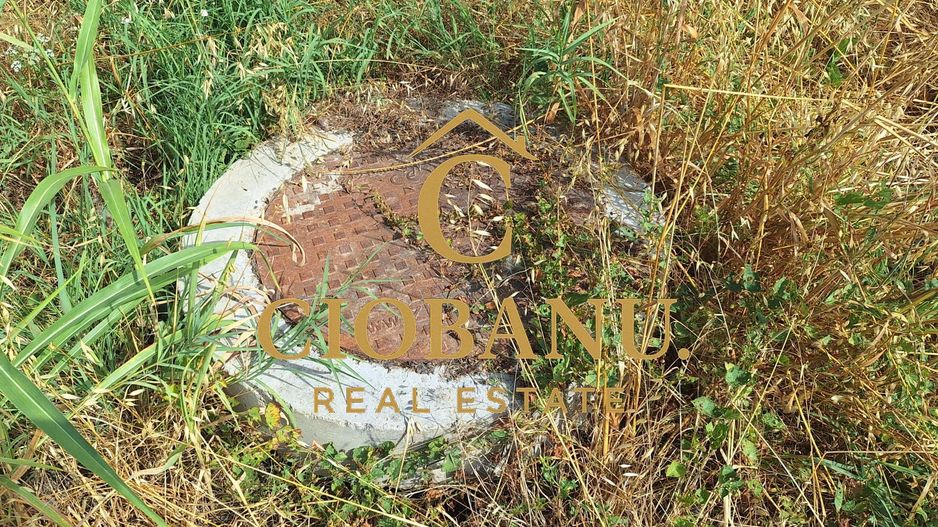 Teren intravilan de vanzare in Isalnita - Poză 2