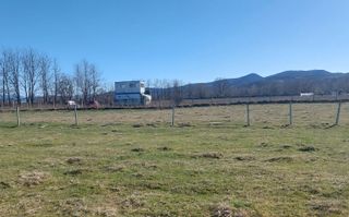 TEREN CU PLANTAȚIE DE TRANDAFIRI ,,ROSA DAMASCENA,\ \CARANSEBEȘ\JUD.CS - Poză 6