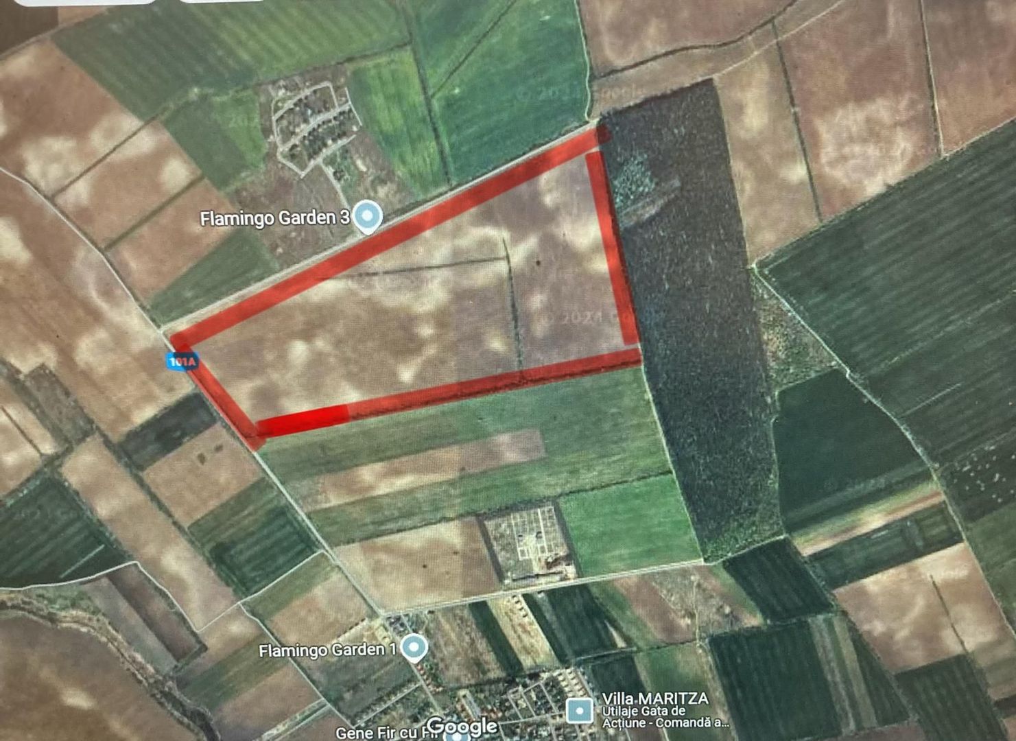 Teren cu PUZ 45 ha oportunitate investitie-dezvoltare Corbeanca- Comision 0 - Poză 2