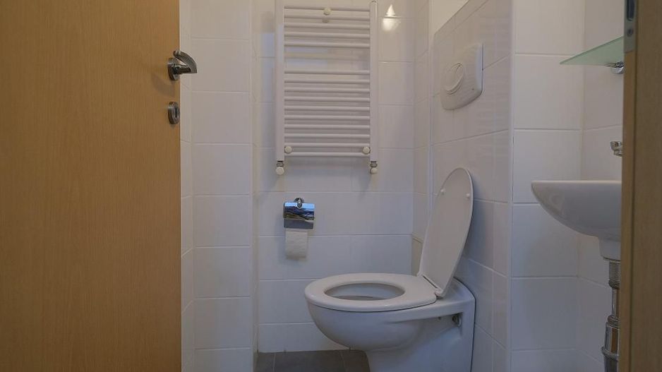 HERASTRAU, apartament deosebit, etaj 2 in bloc 2005 - Poză 10