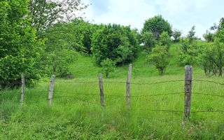 TEREN INTRAVILAN 2500 MP, BUGHEA DE JOS - Poză 1