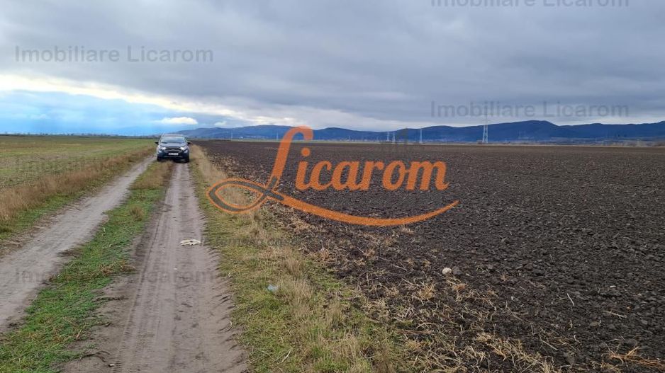 Teren extravilan 2,9 HA,intre Cristian si Vulcan - Poză 1