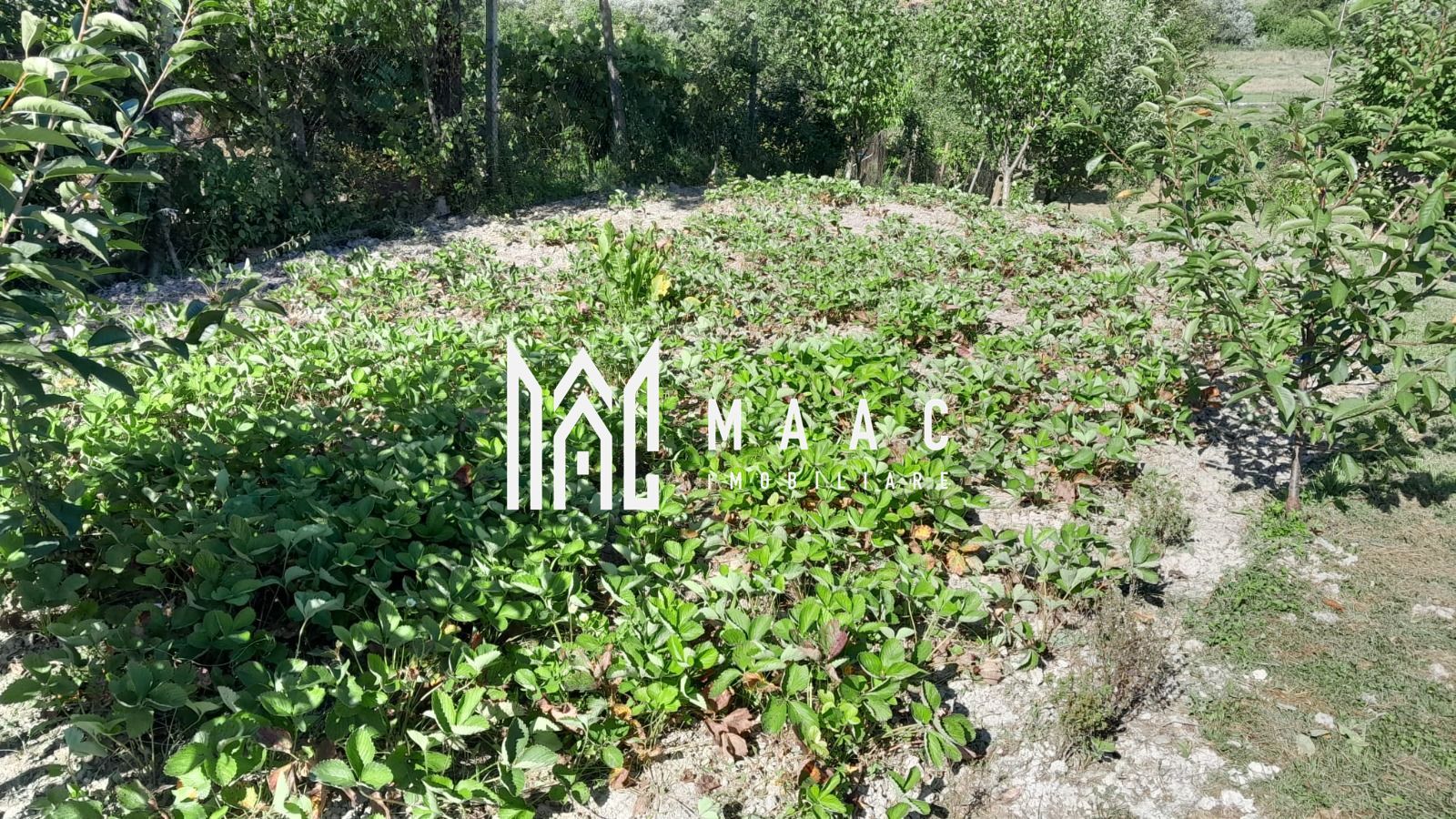 Casa individuala | 4 camere | Teren 2000 MP | Seica Mare - Poză 5