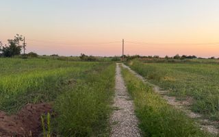 Ideal Investitie - Str Ctin Brancoveanu, zona noua, intravilan in noul PUG - Poză 7