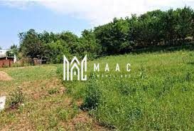 Teren | Cisandie  | Intravilan | 1.500 Mp | - Poză 3