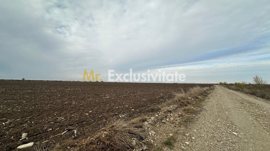 Teren extravilan de vânzare – în apropierea autostrăzii A1, km 80 - Poză 5