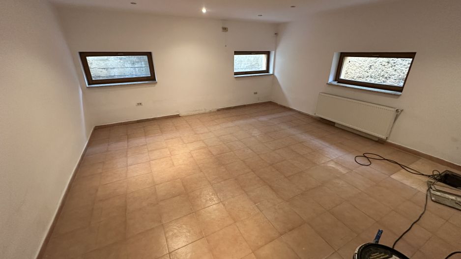 Proprietate cu piscina Dumbravita - Poză 41