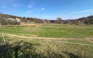 Teren Govora / 8131mp - Poză 1