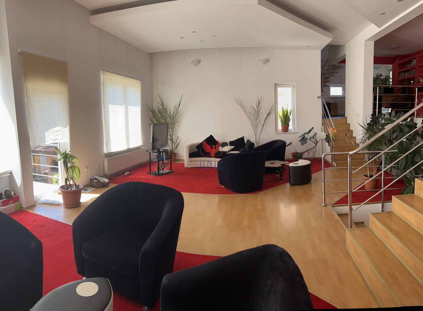 Vila moderna, Brazda lui Novac - Poză 10