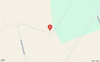 Coreanca  8000 mp intravilan - Poză 1