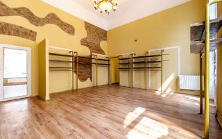 Spațiu comercial în Piața Catedralei - Poză 10