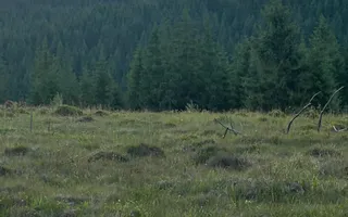 50 hectare teren | Moldova-Sulita | Potential turistic si agricol - Poză 16