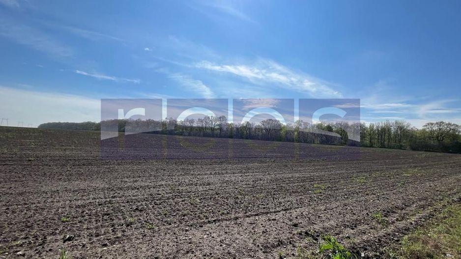 Teren Vadu Anei langa padure 1300 mp - Poză 1