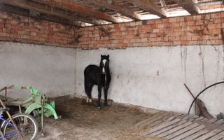 Ferma de Vânzare – Oportunitate Unică! - Poză 9