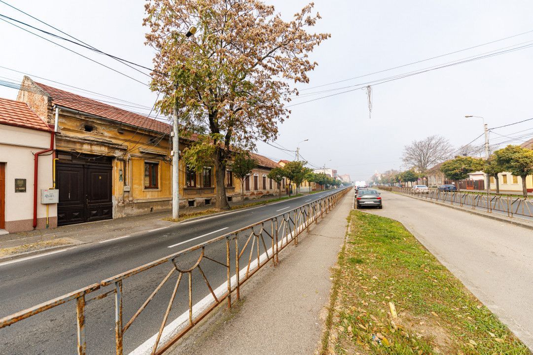 Apartament 2 camere, parter, renovat, curte proprie 50 mp- Piata Iuliu Maniu - Poză 34
