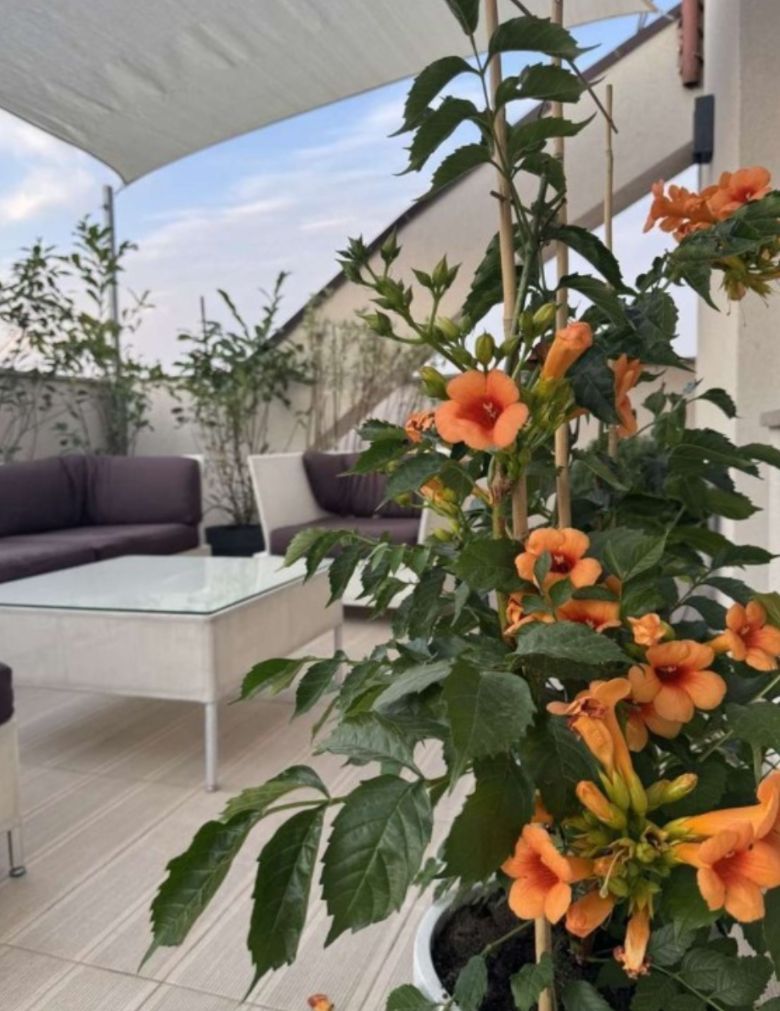 BLOC NOU ULTRALUX 3 CAMERE + TERASA PANORAMICA TIMPURI NOI + PARCARE - Poză 17