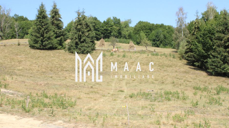 Terenuri Carpinis I parcelabil I Curent pe proprietati - Poză 13