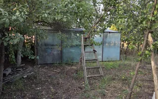 Casă și teren 2177 mp Ortisoara -28ml front-comision 0 - Poză 14