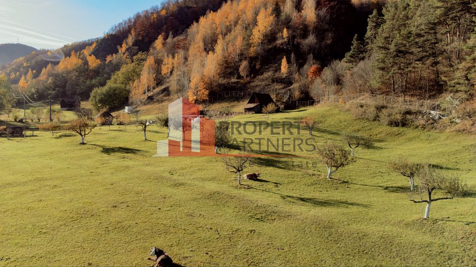 Teren Moieciu 8206 mp - Oportunitate de investitie - Poză 6