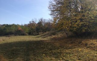 Teren extravilan de vanzare 1.125 mp Două fronturi Zona Gusterita - Poză 1
