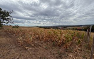 Teren intravilan 1.770 mp – Uileacu de Criș, Tileagd - Poză 3