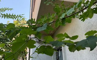 CASA DE VANZARE -S+P+3E - ZONA DOROBANTI - Poză 2