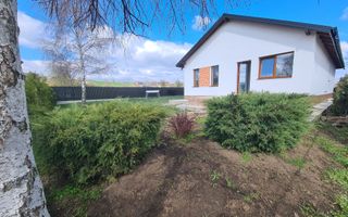 Casa plan parter deosebita, Lunca Cetatuii Ciurea, la asfalt, zona vis - Poză 10