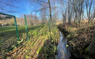 Teren 3349 mp de Vânzare | Bran – Panoramă Munții Bucegi - Poză 15