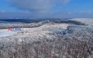 COMISION 0% -Casa deosebita Ciocanai - Poză 41