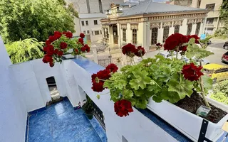 Apartament in vila interbelica |  Coposu  | 4 camere | Superb - Poză 14