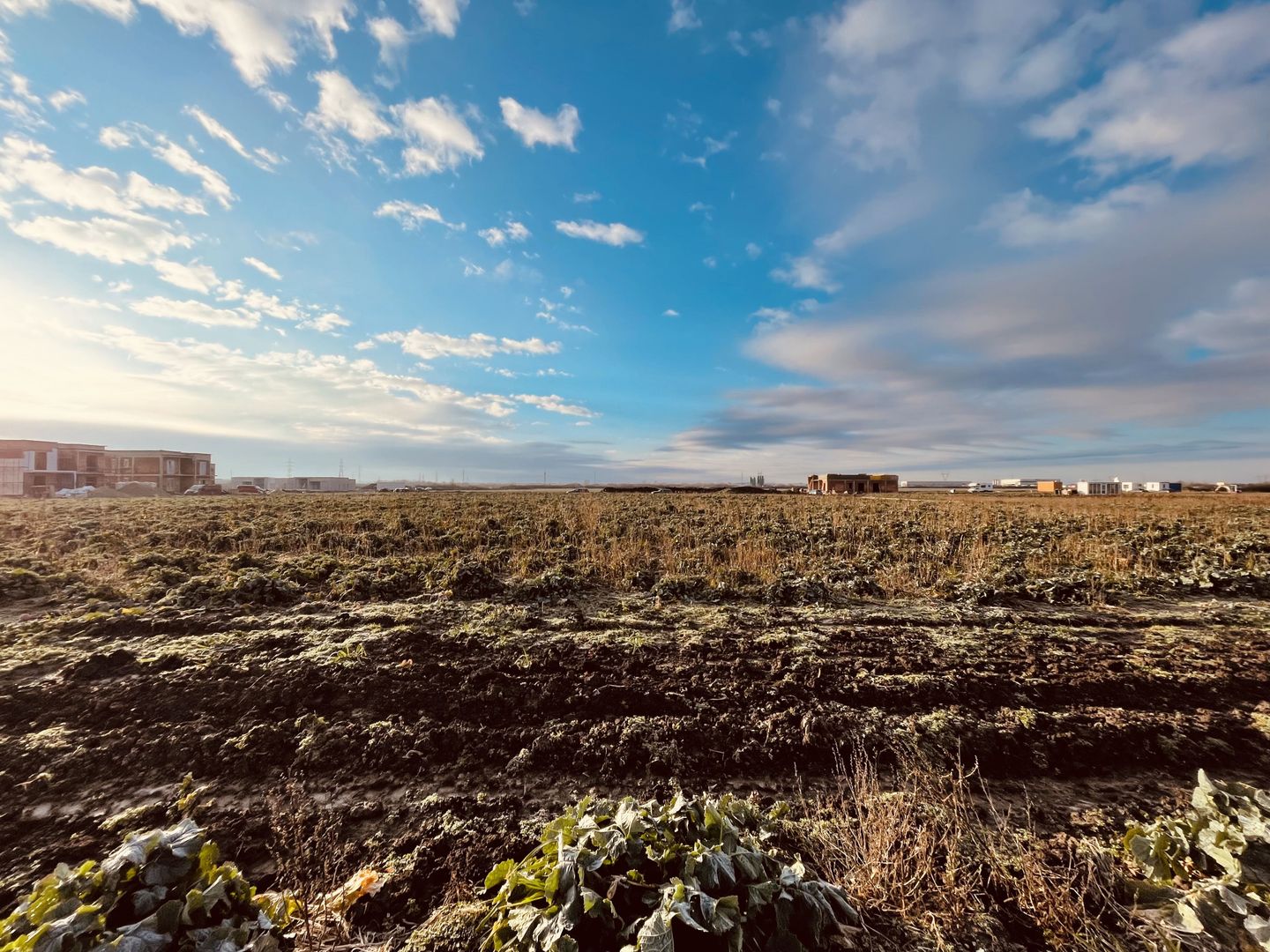 Teren pentru Casa | Covaci - 723 mp | Predare cu utilitati si asfalt - Poză 2