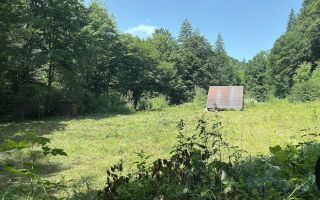 Teren de 3275 mp cu căbănuță în Tarcău, județul Neamț – zonă montană - Poză 3