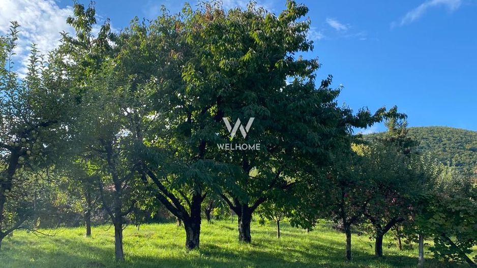 Teren intravilan constructii - Sibiel - Sibiu - Poză 3