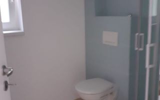Apartament de închiriat, 1 cameră, cu terasă, Lunca Cetățuii - Poză 3