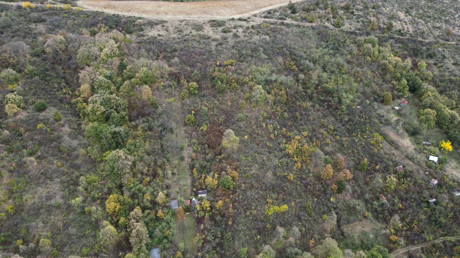 Teren 18,300mp Ghioroc - Poză 4