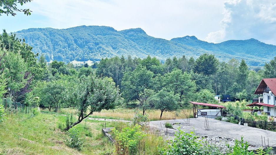 Bran- Predelut, 1000mp teren pentru casa de vacanta, pret 45 euro/mp - Poză 9