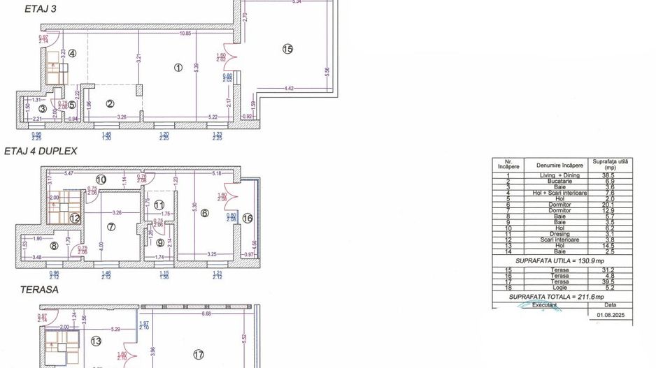 Triplex, cu terase panoramice, Pipera - Iancu Nicolae - Schiță 24