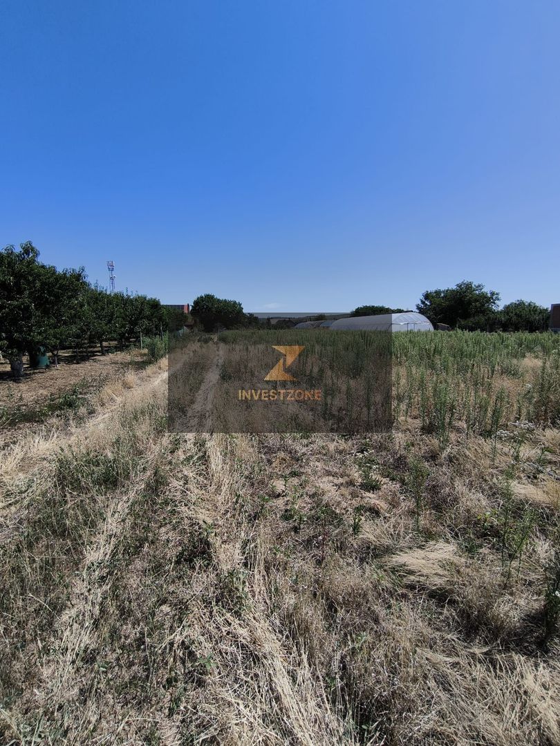 Teren intravilan Biharia 11058 mp - Poză 4