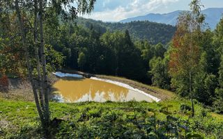 18000 mp de natura pura ,Lupeni, langa Straja - Poză 25