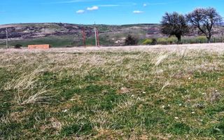 Teren situat în Daia Nouă!! - Poză 4