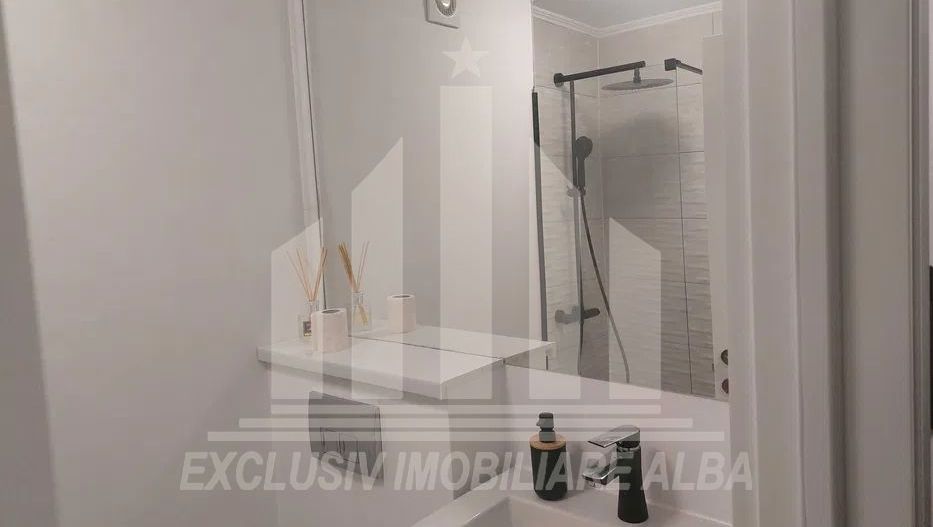 Apartament cu 2 camere de vanzare, Cetate - Poză 5