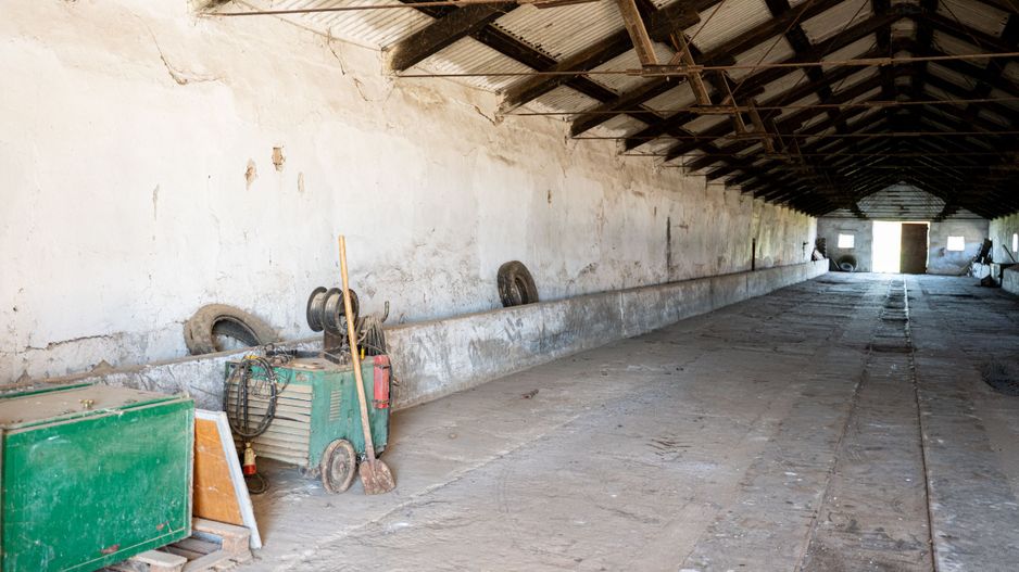 Spațiu depozitare 734mp și teren de 7.844mp Macea - Poză 3