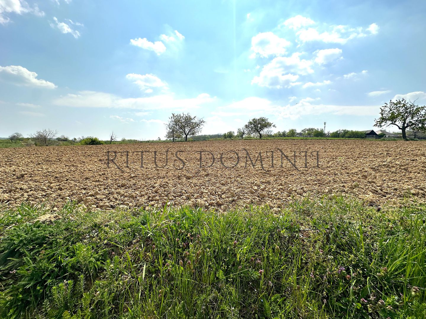 Teren Intravilan de Vânzare, Cetariu, 5450mp - Poză 5