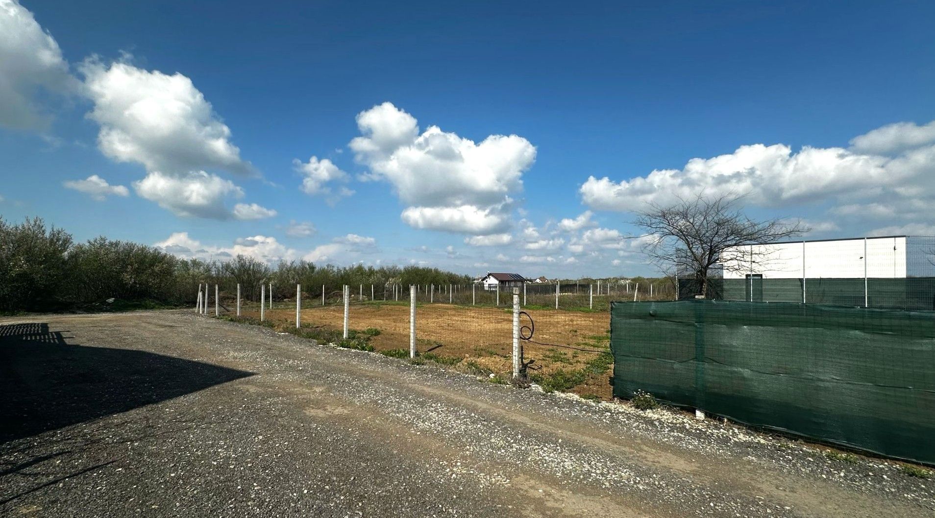 Teren Intravilan 533mp Mogoșoaia-Chitila - Poză 7