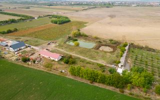 Teren intravilan cu iazuri și casă - Chișineu-Criș - Poză 22