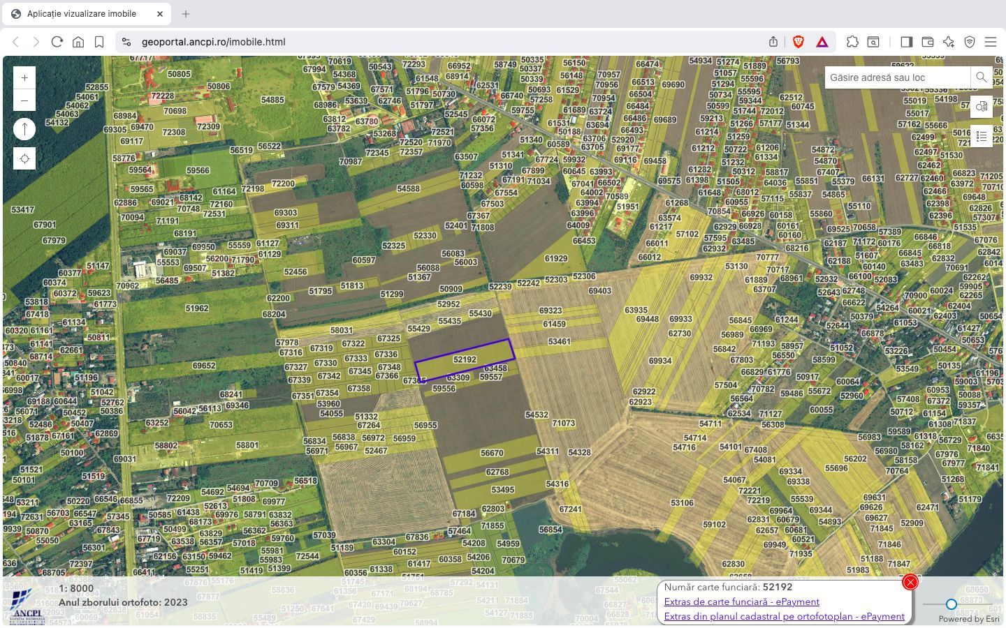 Teren intravilan 18.200 mp Saftica Balotesti - Poză 3