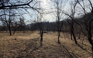 Teren intravilan 2788 mp deschidere 55 ml cu vedere panoramica ! - Poză 10