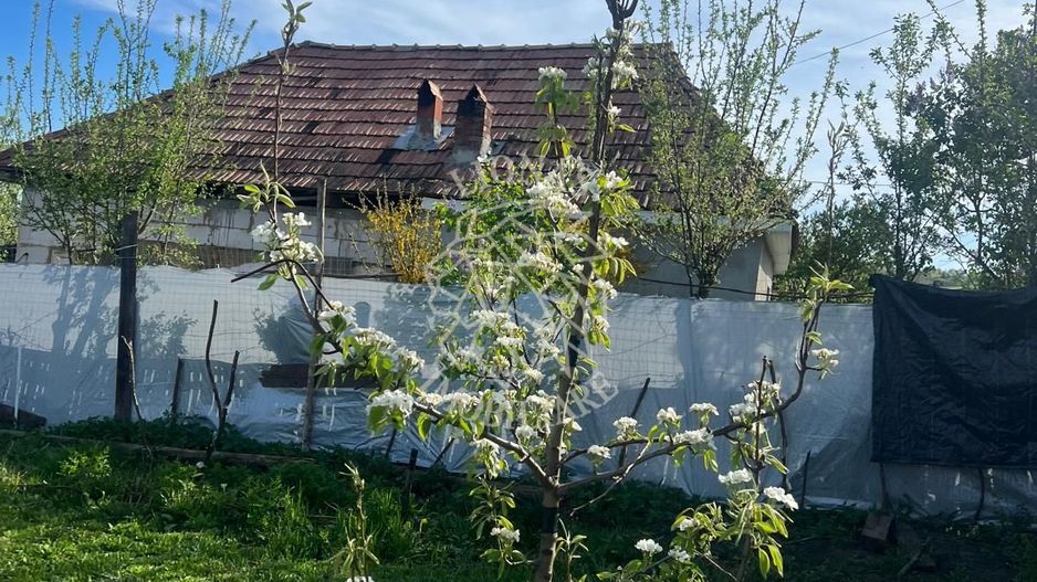 Casă ecologică 113 mp utili cu utilitati  + Teren 3100 mp, Balda, județul Mures - Poză 15