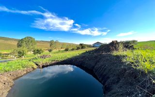 Ferma de vanzare cu 550MP utili si 27.500MP teren la asfalt - Poză 1