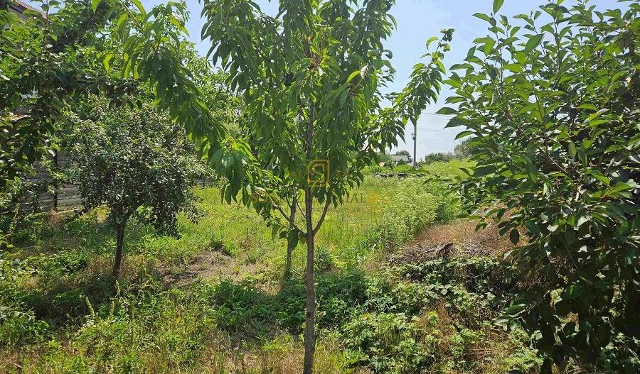 Teren de vanzare, 561 mp, strada Cetatea Alba, Mamina, Comuna Berceni - Poză 5